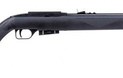 Crosman RepeatAir 1077 Review | Shots per CO2 & Upgrades