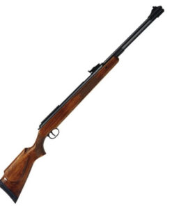 Diana 460 Magnum Review | Power, .22 & Value