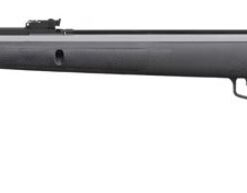 Gamo Big Cat 1000 Air Rifle Review | Price & Australia