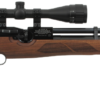 Weihrauch HW100: The Legendary German PCP Air Rifle